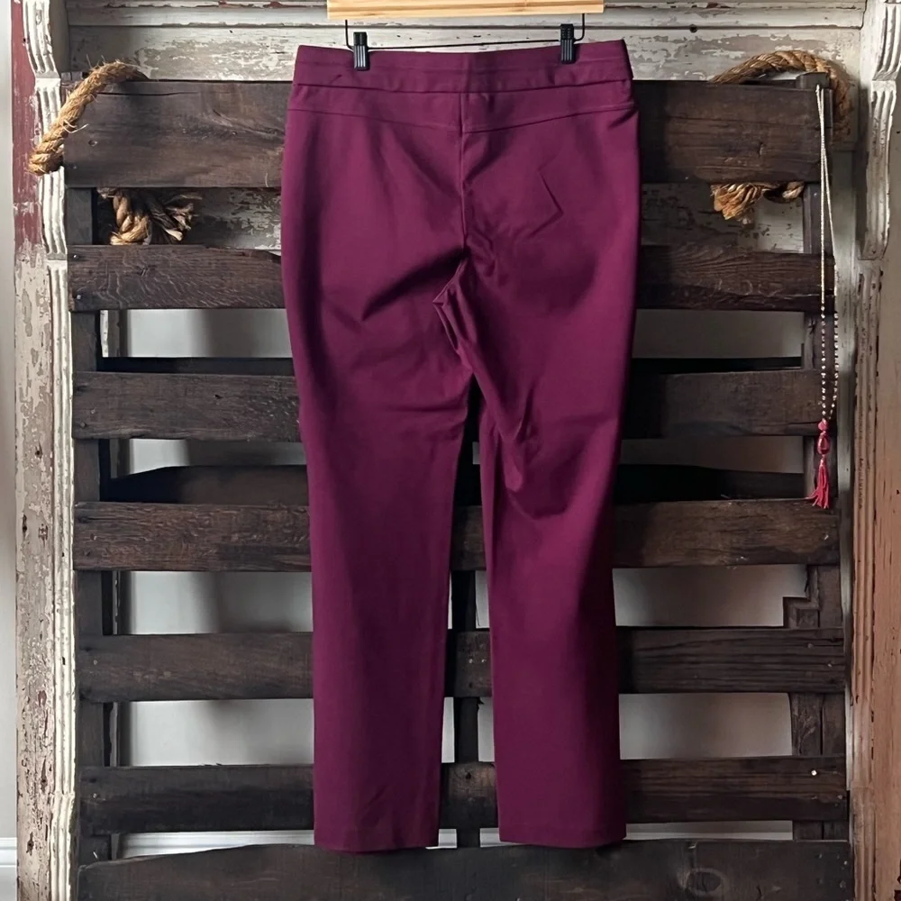 🟠BRIGGS Jegging in Wine Sz 12